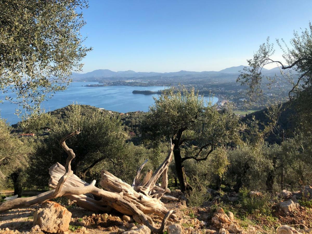 House Tanna Of Villa Intaba Spectacular Sea Views Corfiot Riviera Spartilas Corfu Island Greece Close To Ipsos Beach Spartylas Bagian luar foto